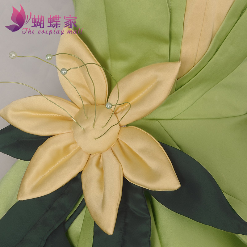 Princess Tiana Dress Cosplay C – Women'S Accessories H&M recenzja i cena
