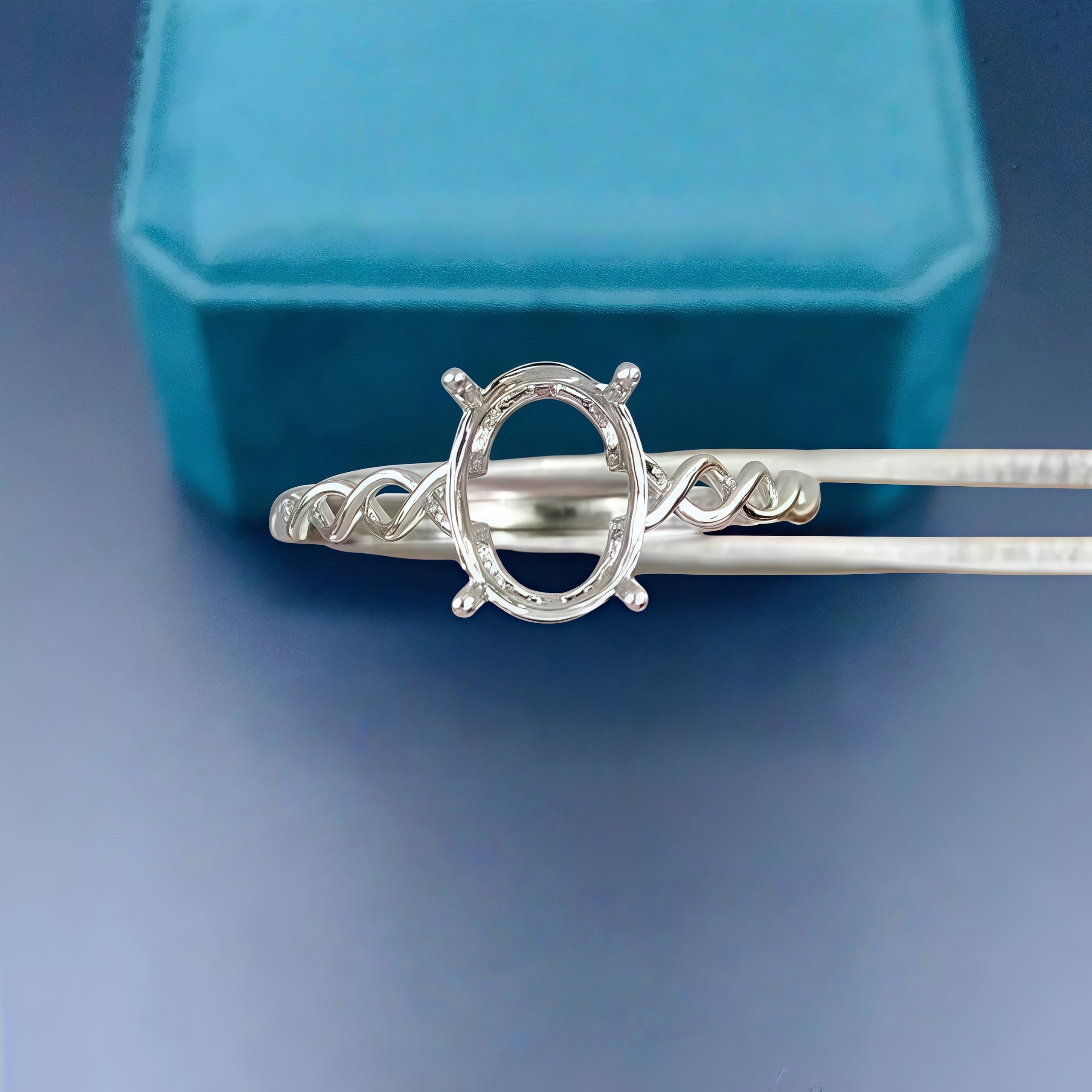DIY Empty Ring Holder S925 Ste – Women Accessories Holder recenzja i cena
